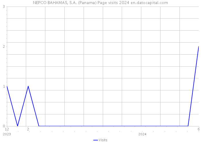 NEPCO BAHAMAS, S.A. (Panama) Page visits 2024 