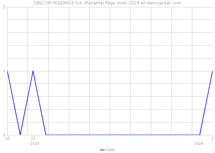 DELCOR HOLDINGS S.A. (Panama) Page visits 2024 
