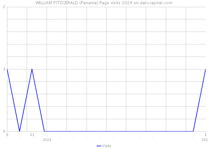 WILLIAM FITZGERALD (Panama) Page visits 2024 