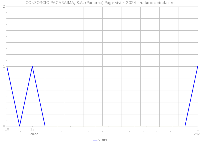 CONSORCIO PACARAIMA, S.A. (Panama) Page visits 2024 