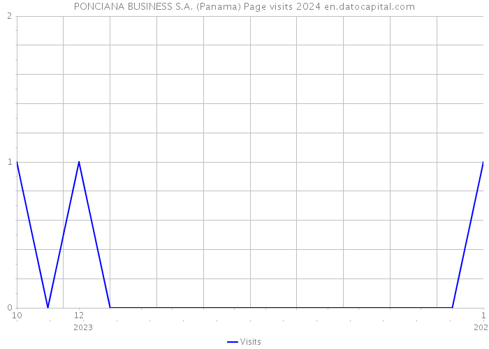 PONCIANA BUSINESS S.A. (Panama) Page visits 2024 