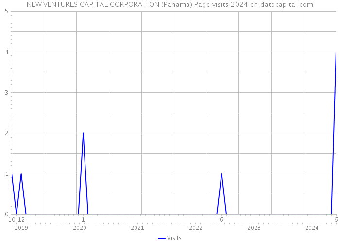 NEW VENTURES CAPITAL CORPORATION (Panama) Page visits 2024 