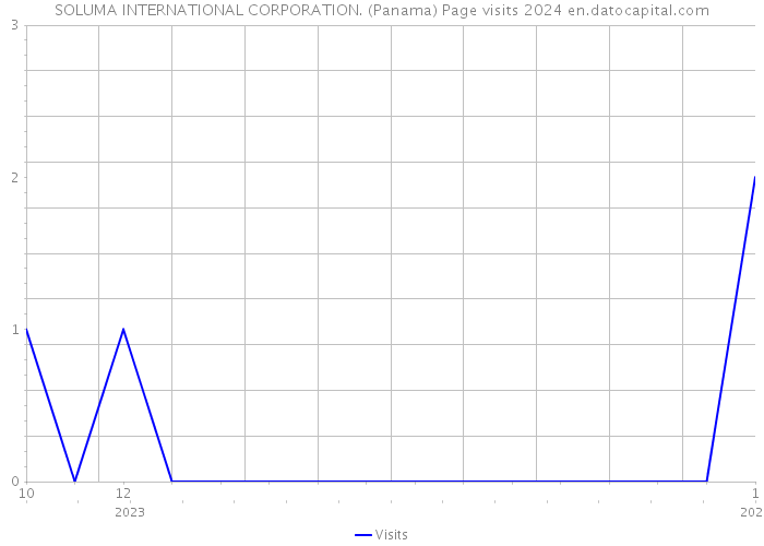SOLUMA INTERNATIONAL CORPORATION. (Panama) Page visits 2024 