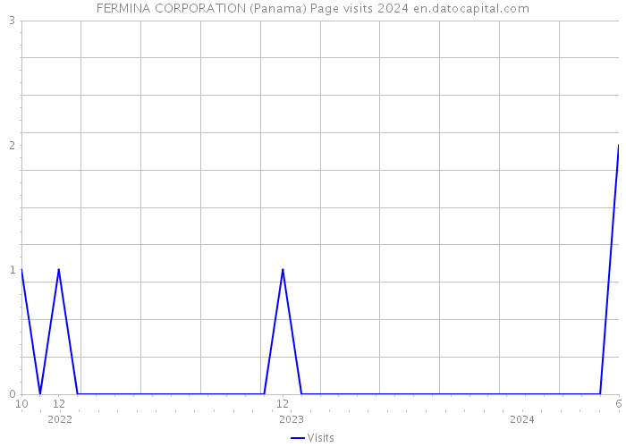 FERMINA CORPORATION (Panama) Page visits 2024 