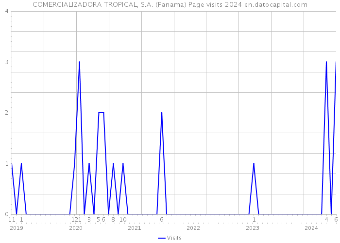 COMERCIALIZADORA TROPICAL, S.A. (Panama) Page visits 2024 