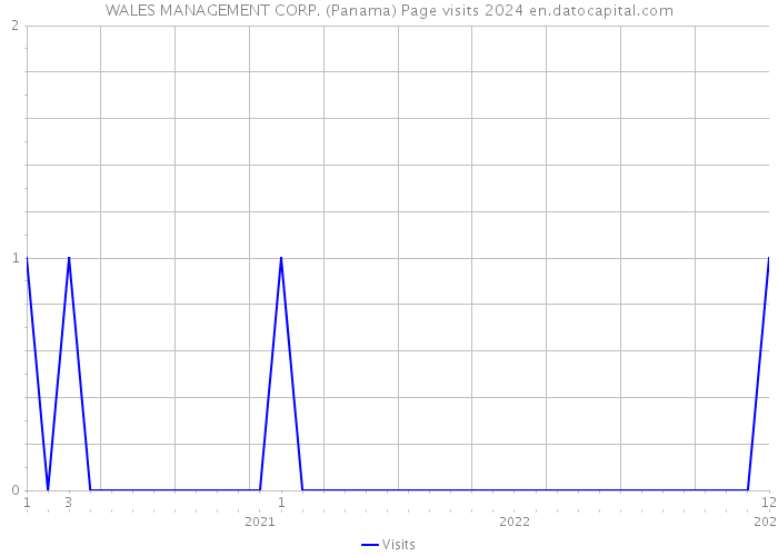 WALES MANAGEMENT CORP. (Panama) Page visits 2024 