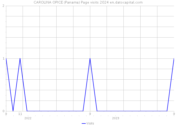 CAROLINA OPICE (Panama) Page visits 2024 