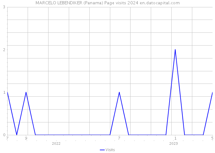 MARCELO LEBENDIKER (Panama) Page visits 2024 