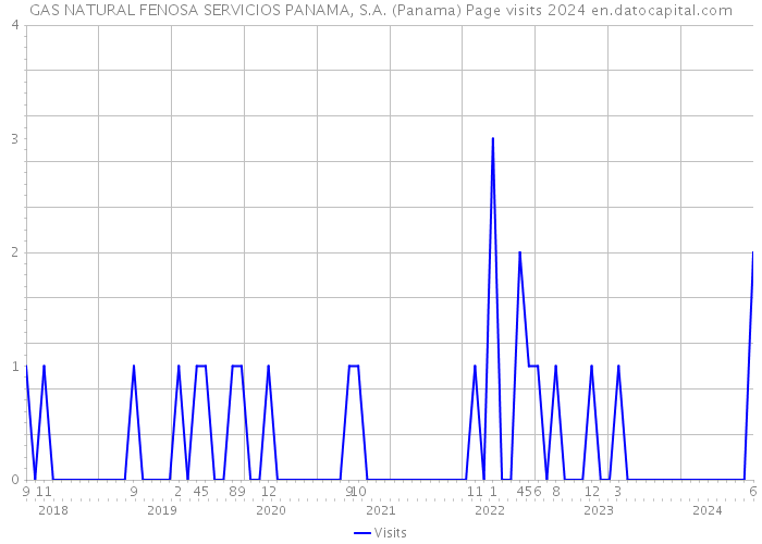 GAS NATURAL FENOSA SERVICIOS PANAMA, S.A. (Panama) Page visits 2024 