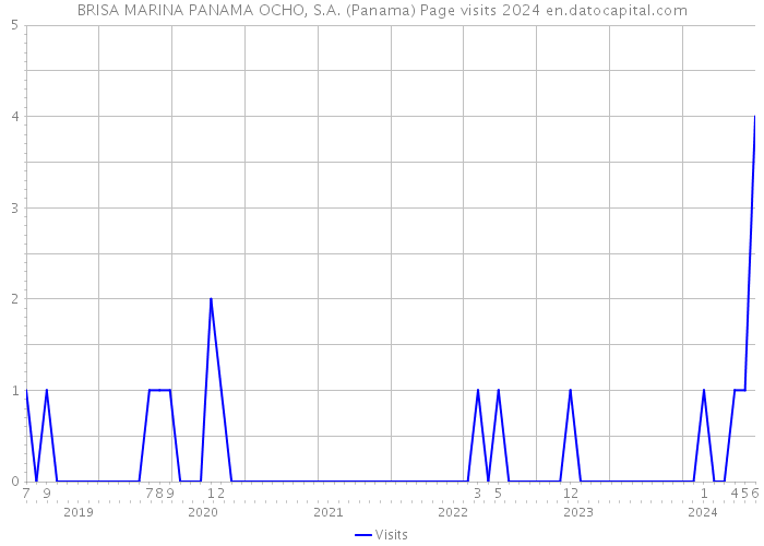 BRISA MARINA PANAMA OCHO, S.A. (Panama) Page visits 2024 