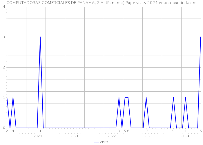 COMPUTADORAS COMERCIALES DE PANAMA, S.A. (Panama) Page visits 2024 