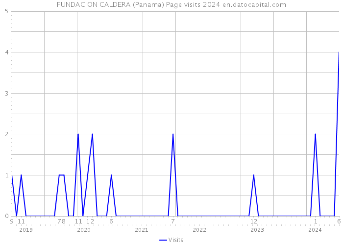FUNDACION CALDERA (Panama) Page visits 2024 