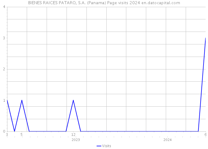 BIENES RAICES PATARO, S.A. (Panama) Page visits 2024 