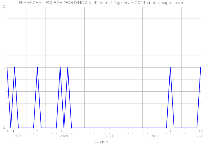 BRAVE CHALLENGE SHIPHOLDING S.A. (Panama) Page visits 2024 