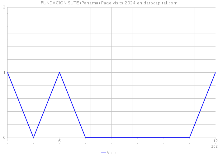 FUNDACION SUTE (Panama) Page visits 2024 