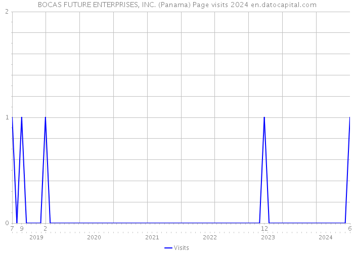 BOCAS FUTURE ENTERPRISES, INC. (Panama) Page visits 2024 