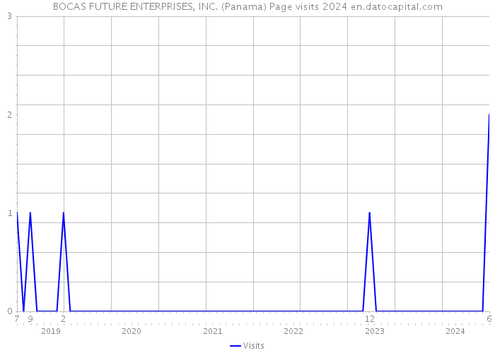 BOCAS FUTURE ENTERPRISES, INC. (Panama) Page visits 2024 