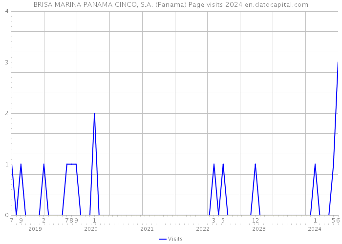 BRISA MARINA PANAMA CINCO, S.A. (Panama) Page visits 2024 