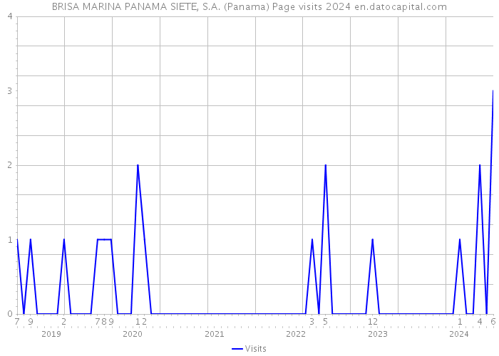 BRISA MARINA PANAMA SIETE, S.A. (Panama) Page visits 2024 
