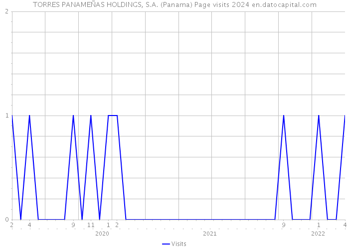 TORRES PANAMEÑAS HOLDINGS, S.A. (Panama) Page visits 2024 