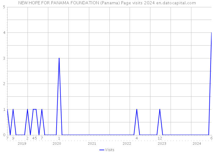 NEW HOPE FOR PANAMA FOUNDATION (Panama) Page visits 2024 
