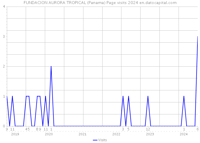 FUNDACION AURORA TROPICAL (Panama) Page visits 2024 