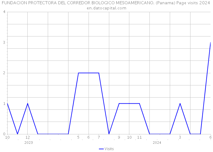 FUNDACION PROTECTORA DEL CORREDOR BIOLOGICO MESOAMERICANO. (Panama) Page visits 2024 