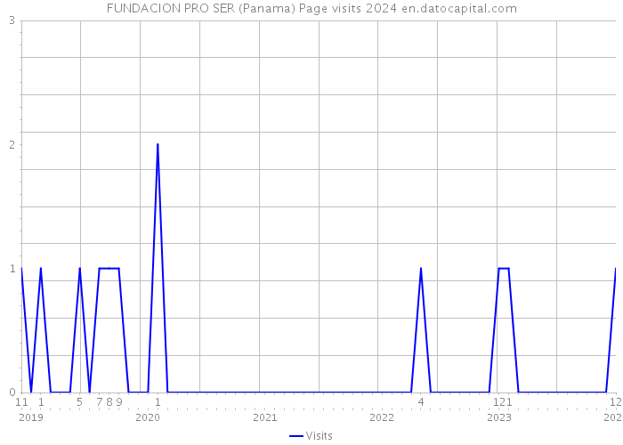 FUNDACION PRO SER (Panama) Page visits 2024 
