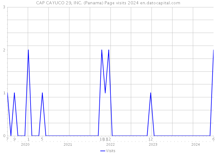 CAP CAYUCO 29, INC. (Panama) Page visits 2024 
