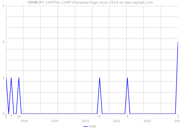 NEWBURY CAPITAL CORP (Panama) Page visits 2024 