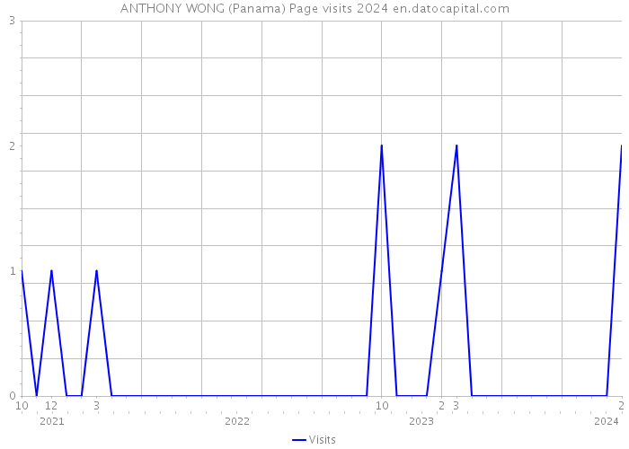 ANTHONY WONG (Panama) Page visits 2024 