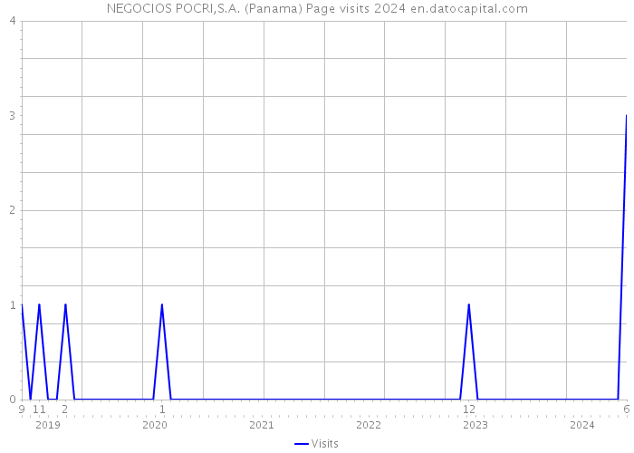 NEGOCIOS POCRI,S.A. (Panama) Page visits 2024 