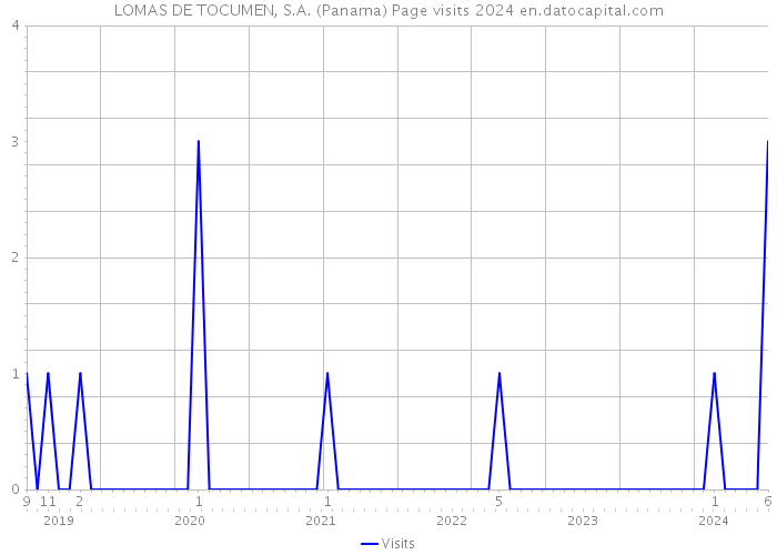 LOMAS DE TOCUMEN, S.A. (Panama) Page visits 2024 