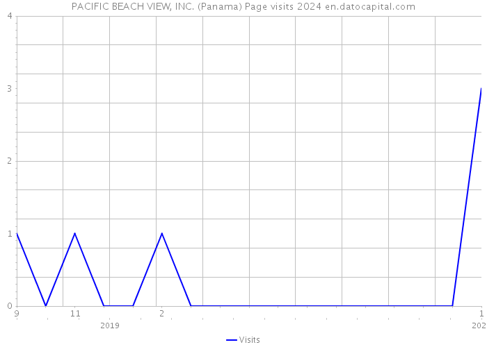 PACIFIC BEACH VIEW, INC. (Panama) Page visits 2024 
