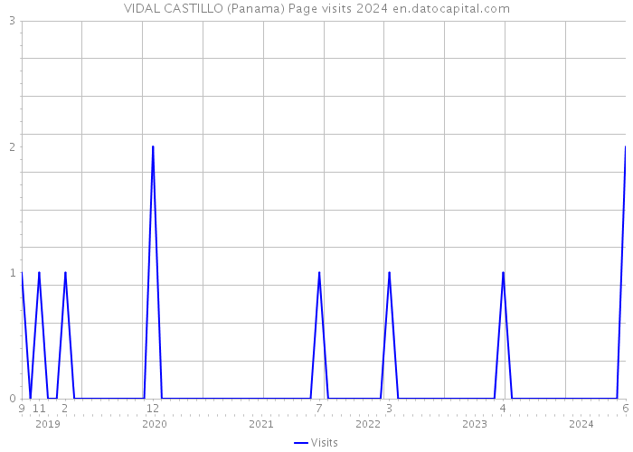 VIDAL CASTILLO (Panama) Page visits 2024 