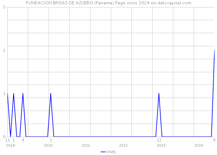 FUNDACION BRISAS DE AZUERO (Panama) Page visits 2024 