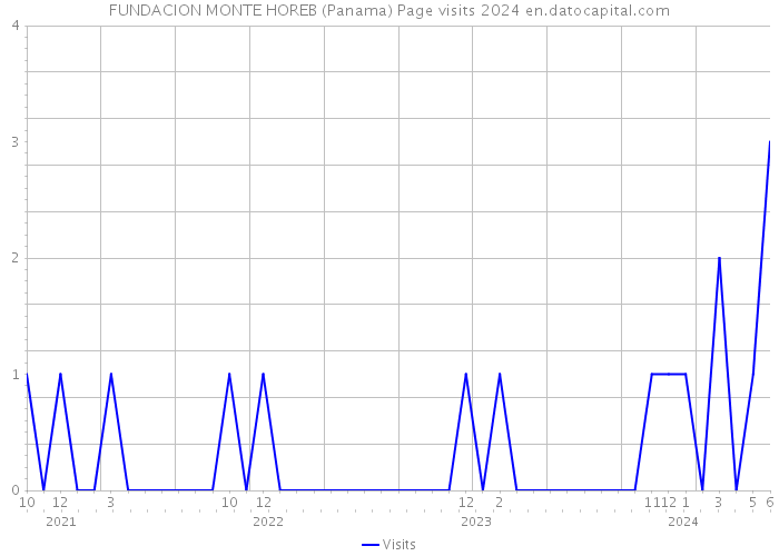FUNDACION MONTE HOREB (Panama) Page visits 2024 