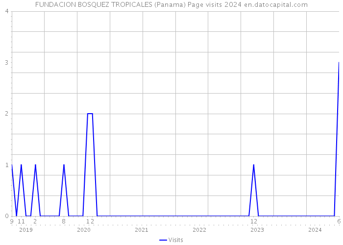 FUNDACION BOSQUEZ TROPICALES (Panama) Page visits 2024 