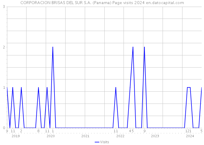CORPORACION BRISAS DEL SUR S.A. (Panama) Page visits 2024 