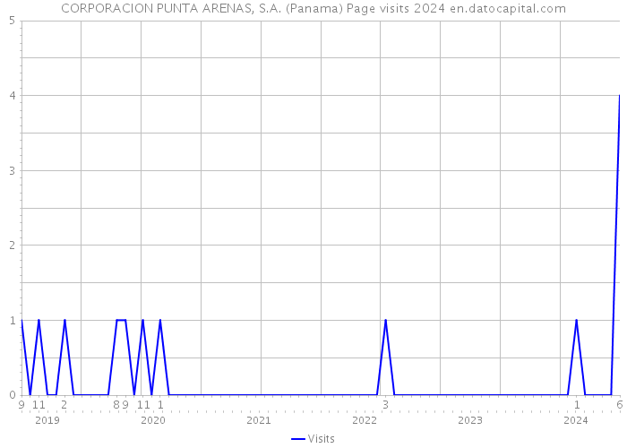 CORPORACION PUNTA ARENAS, S.A. (Panama) Page visits 2024 