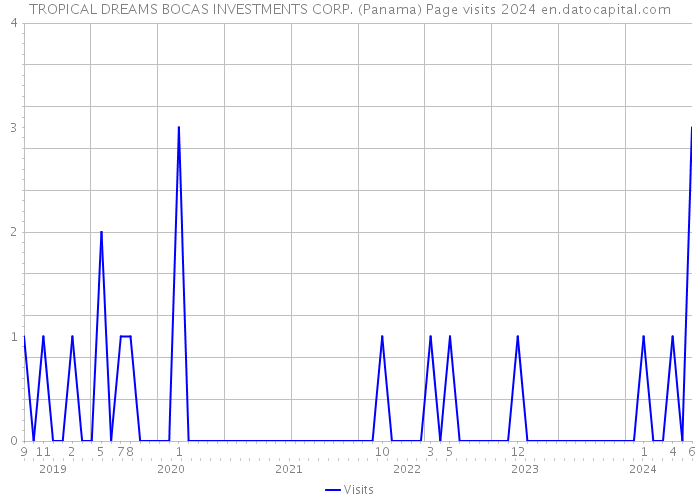 TROPICAL DREAMS BOCAS INVESTMENTS CORP. (Panama) Page visits 2024 