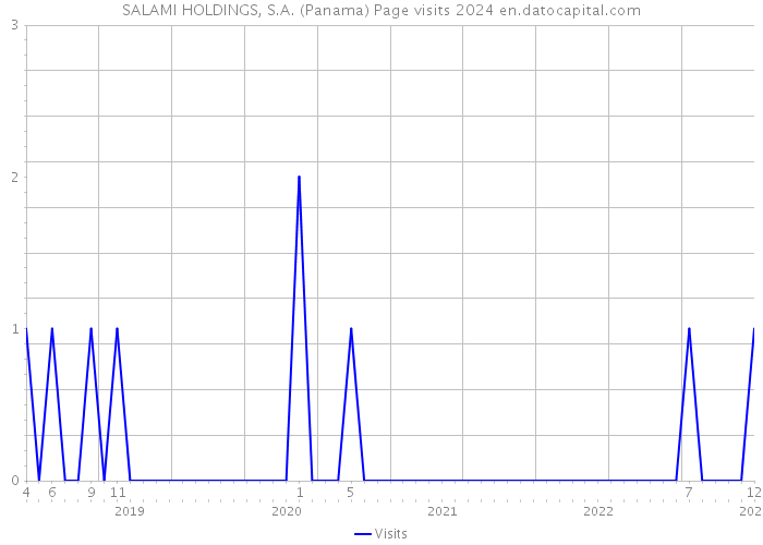 SALAMI HOLDINGS, S.A. (Panama) Page visits 2024 