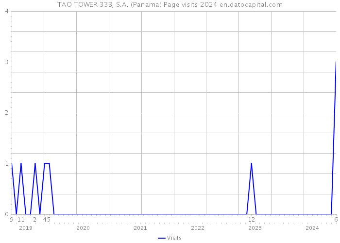 TAO TOWER 33B, S.A. (Panama) Page visits 2024 