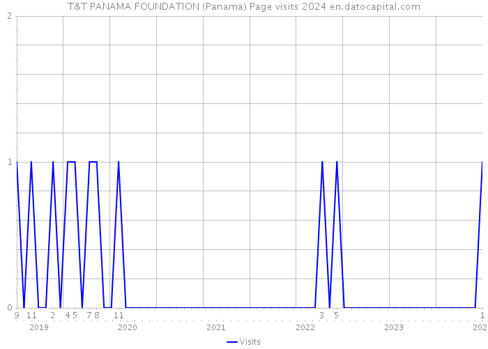 T&T PANAMA FOUNDATION (Panama) Page visits 2024 