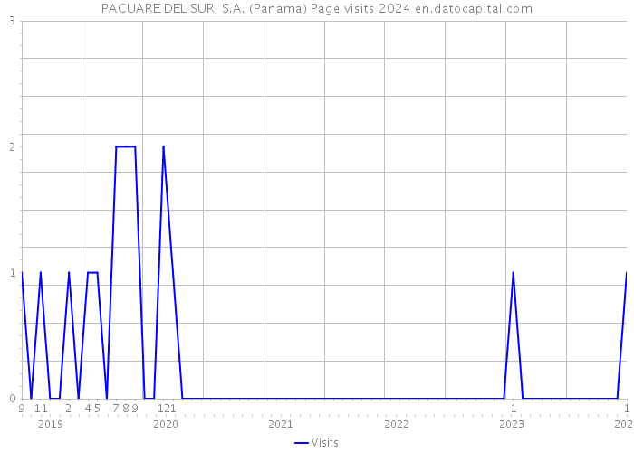 PACUARE DEL SUR, S.A. (Panama) Page visits 2024 