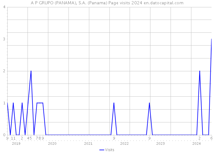 A+P GRUPO (PANAMA), S.A. (Panama) Page visits 2024 