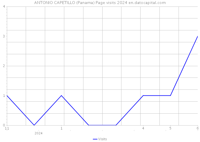 ANTONIO CAPETILLO (Panama) Page visits 2024 