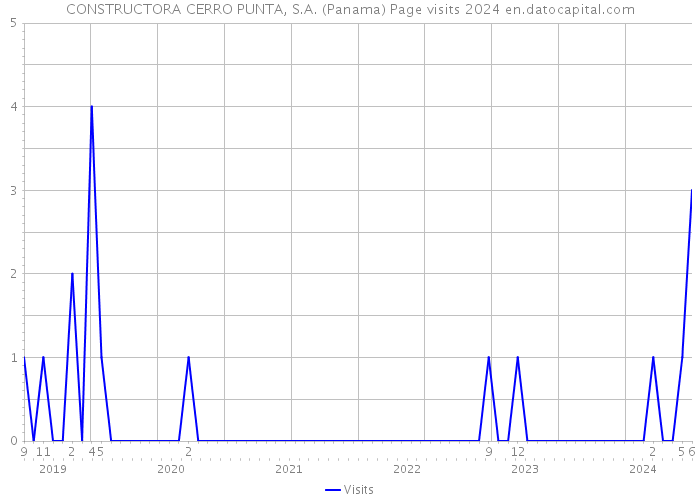 CONSTRUCTORA CERRO PUNTA, S.A. (Panama) Page visits 2024 