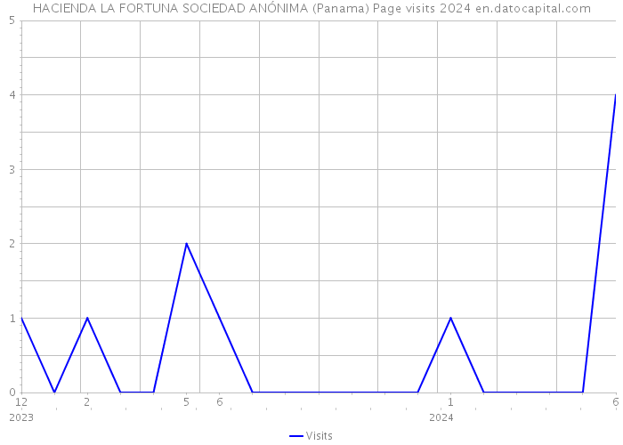 HACIENDA LA FORTUNA SOCIEDAD ANÓNIMA (Panama) Page visits 2024 