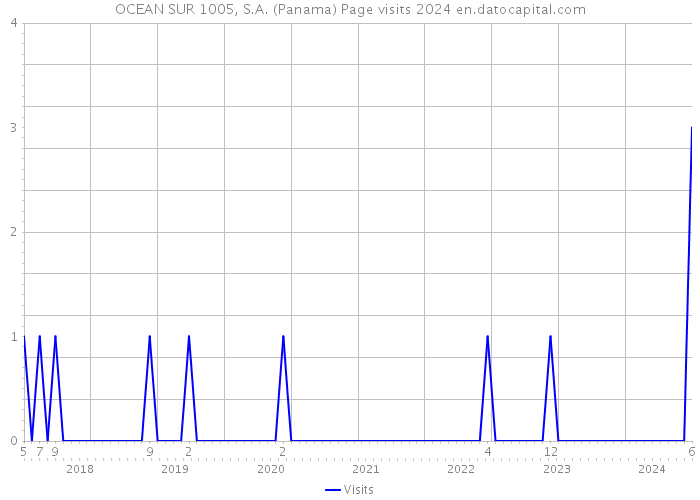 OCEAN SUR 1005, S.A. (Panama) Page visits 2024 